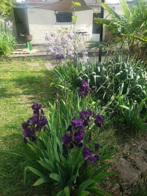 Studio Buena Vista Avec Terrasse Sur Jardin Bron Dış mekan fotoğraf