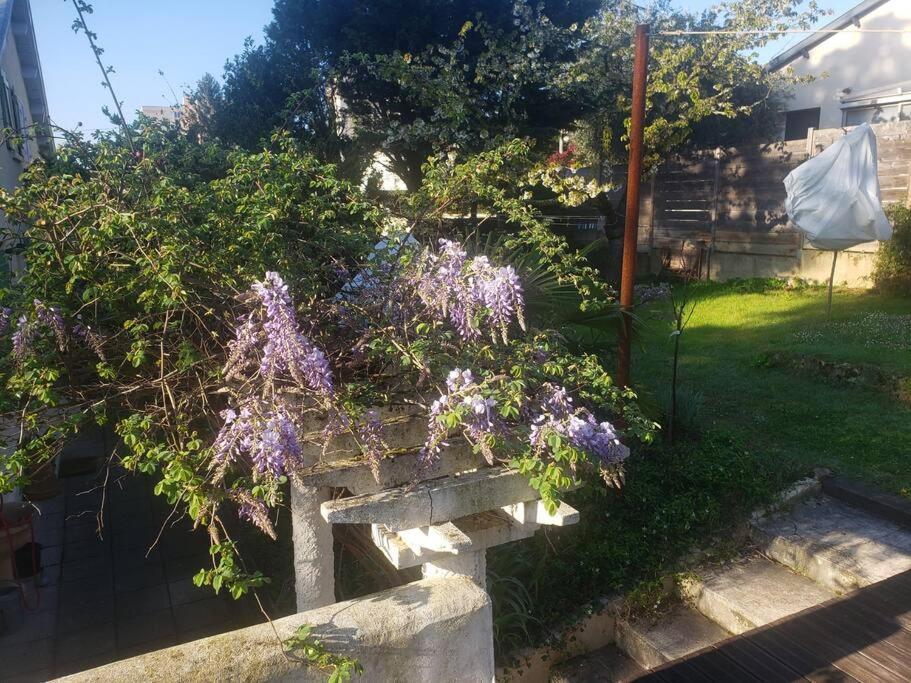 Studio Buena Vista Avec Terrasse Sur Jardin Bron Dış mekan fotoğraf